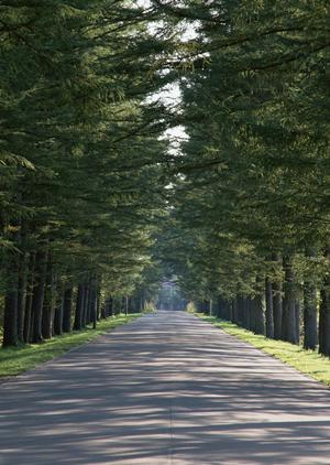 幅広い悩みに対応している北九州市の心療内科・精神科